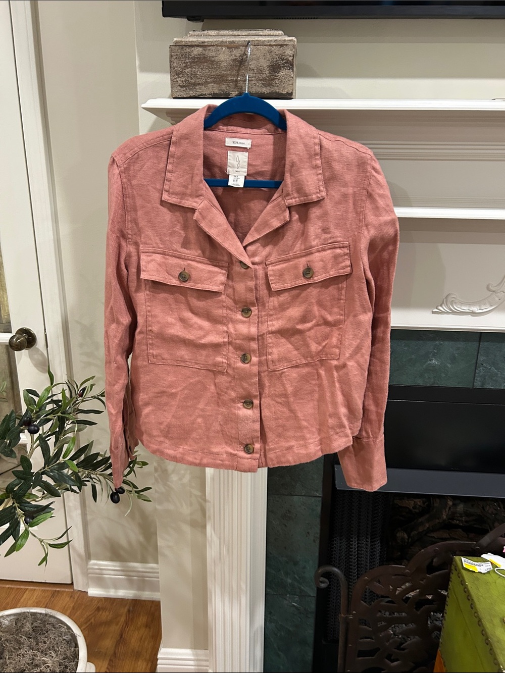 Joie Dusty Rose Button-Front Utility Jacket